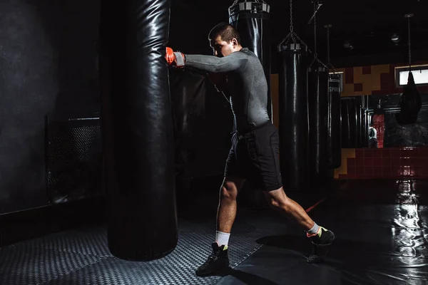 Boxer hits a speed bag in the gym