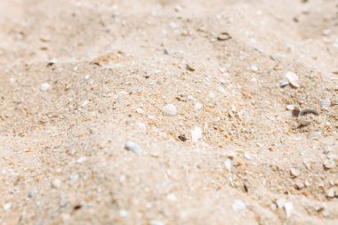 Yakın çekim, kum doku kum, plaj izole boş