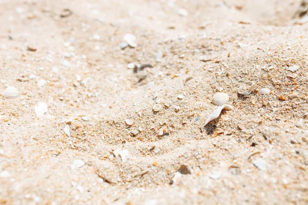 沙子特写 沙子纹理 空的海滩隔绝了 — 图库照片