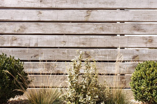 ベージュ 孤立したテキストの背景の木線 — ストック写真