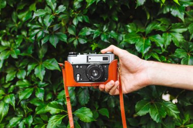 Yakın çekim yeşil yaprakları çerçevede bir fotoğrafçının yaşam tarzı retro bir kamera tutan bir el görüntüsünü