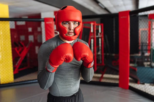 Male boxer engaged in training in the gym, in a cage for a fight without rules