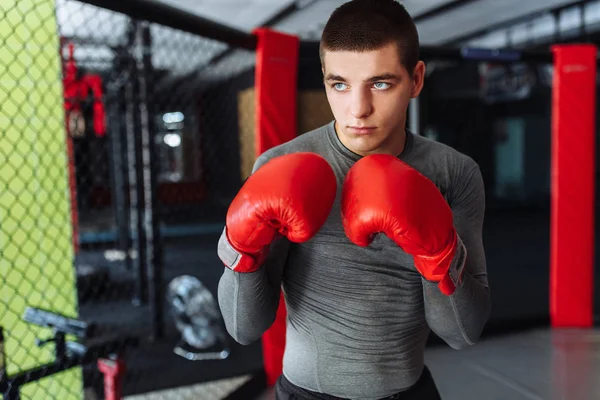 Male Boxer Engaged Training Gym Cage Fight Rules — Stock Photo, Image
