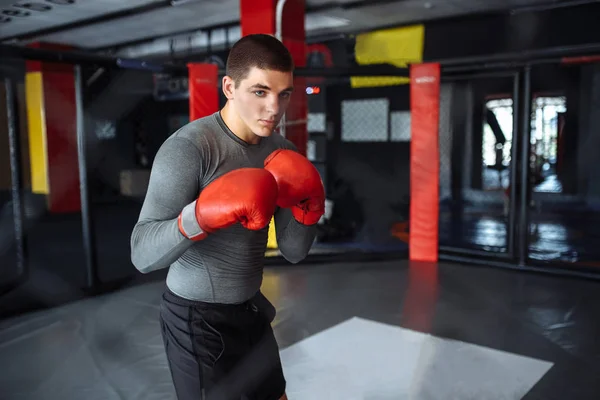 Male boxer engaged in training in the gym, in a cage for a fight without rules