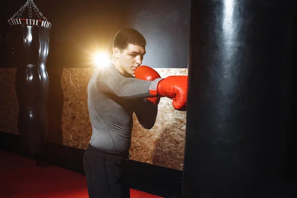 Boxer hits a speed bag in the gym