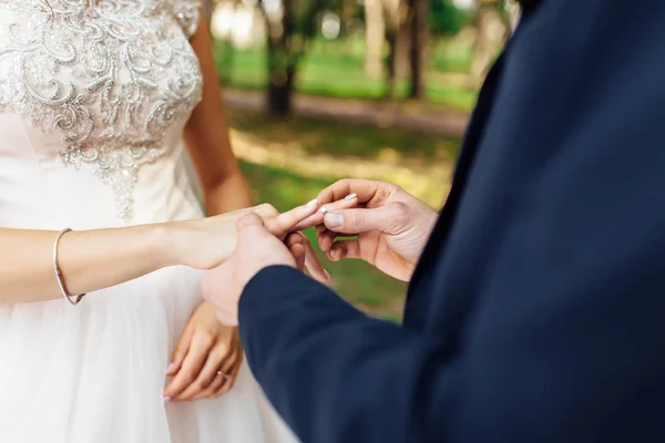 Novia Novio Usan Anillos Anillos Primer Plano —  Fotos de Stock