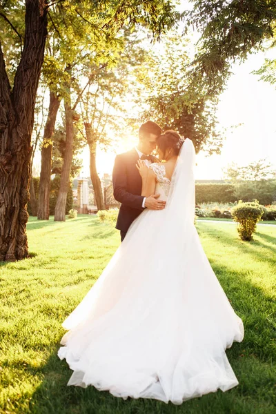 Retrato Los Novios Naturaleza — Foto de Stock