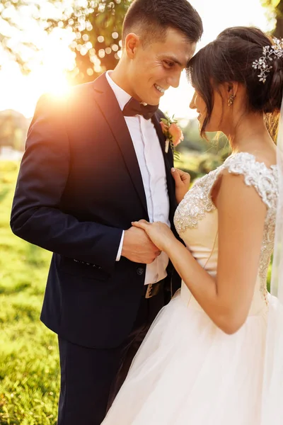 Portrait Bride Groom Nature — Stock Photo, Image