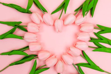 Bahar Pembe lale pembe bir arka plan üzerinde bir kalp şeklinde ortaya koydu. Kadınlar günü