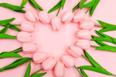 Bahar Pembe lale pembe bir arka plan üzerinde bir kalp şeklinde ortaya koydu. Kadınlar günü