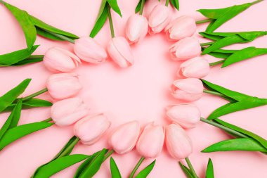 Bahar Pembe lale pembe bir arka plan üzerinde bir kalp şeklinde ortaya koydu. Kadınlar günü