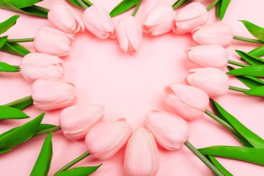 Bahar Pembe lale pembe bir arka plan üzerinde bir kalp şeklinde ortaya koydu. Kadınlar günü