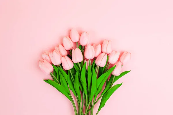pink tulips on light pink background, Valentine\'s day concept