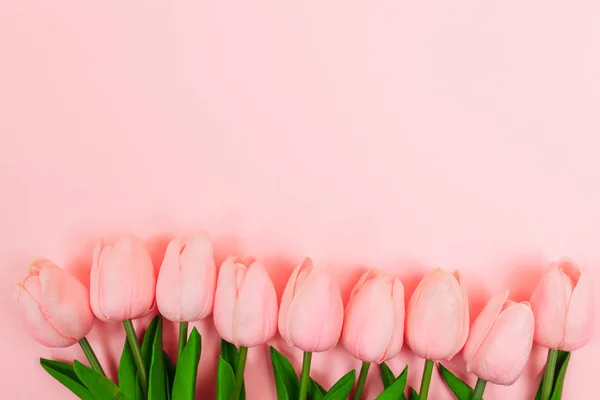 Tulipanes Rosados Primaverales Sobre Fondo Rosa Día Mujer — Foto de Stock