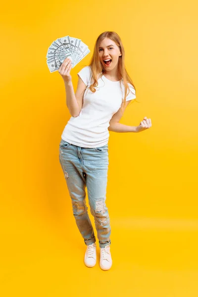 Retrato de chica feliz contenta con un montón de billetes y c — Foto de Stock