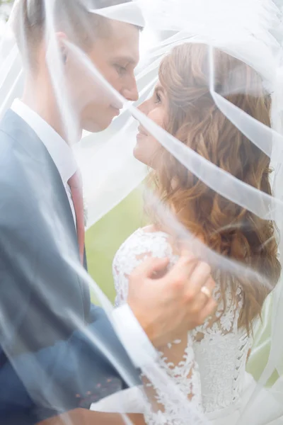 Beautiful young wedding couple in nature, couple in love — Stock Photo, Image