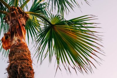 Avuç içi mavi gökyüzüne, tatil köyü denizine