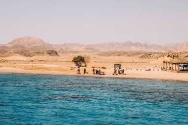 Deniz kıyısında, deniz kıyısında, açık mavi denizde