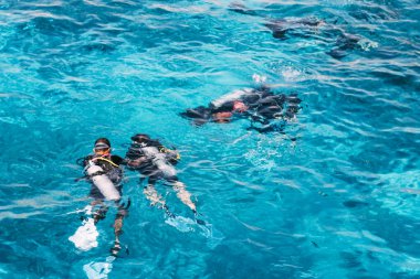 Tropikal denizde tüplü dalış, maskeli dalış