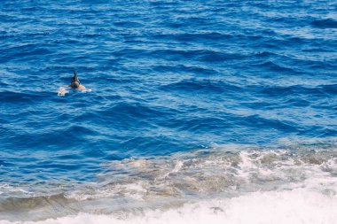 Tropikal denizde tüplü dalış, maskeli dalış