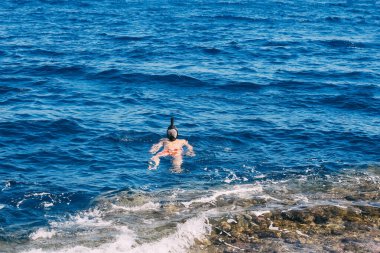 Tropikal denizde tüplü dalış, maskeli dalış
