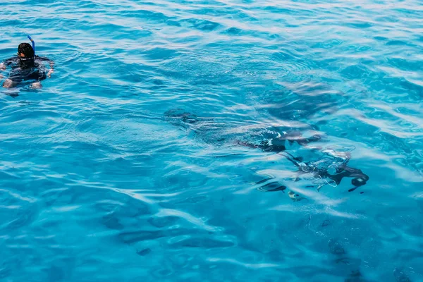 Plongée sous-marine dans la mer tropicale, plongée avec masques — Photo