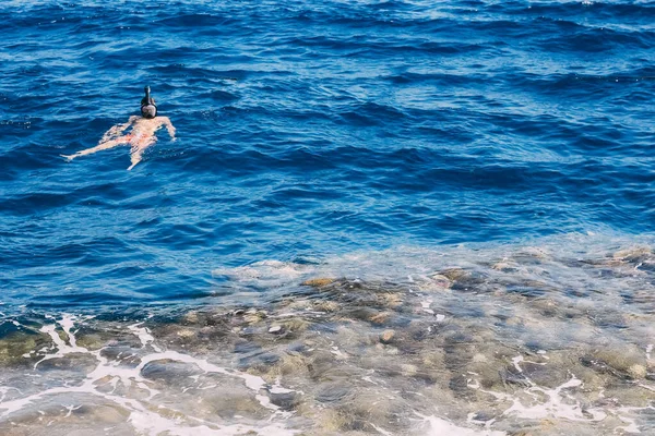 Tropikal denizde tüplü dalış, maskeli dalış — Stok fotoğraf