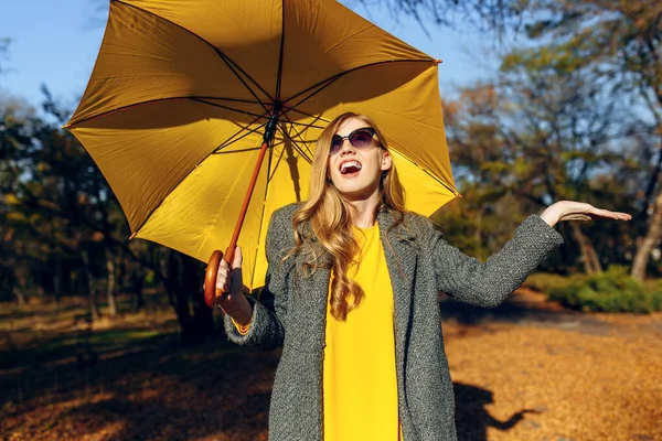 Ragazza, con ombrello giallo, nel Parco con foglie gialle, ora d'autunno — Foto Stock