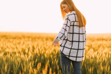 Arkaya bakan, işaretli tişörtlü mutlu bir kadın güneşli bir günbatımında buğday tarlasında geziniyor.