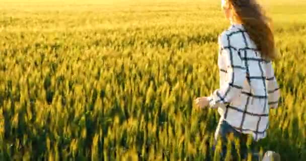 Vrouw loopt door een tarweveld en raakt de oren van tarwe met haar handen tegen de achtergrond van de zonsondergang — Stockvideo