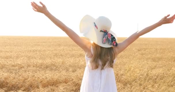 Una mujer con los brazos extendidos en un campo de trigo — Vídeos de Stock