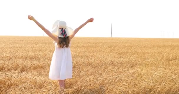 Una mujer con los brazos extendidos en un campo de trigo — Vídeos de Stock