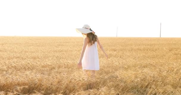 Mujer joven con un vestido blanco y sombrero de paja caminando por un campo de trigo al atardecer — Vídeos de Stock