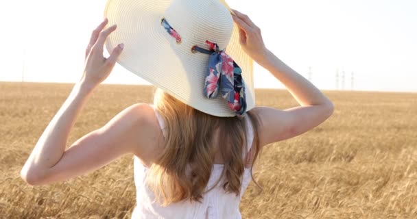 Vista trasera, una joven hermosa mujer con un vestido blanco y un sombrero de paja, en un campo de trigo dorado admirando la cosecha — Vídeos de Stock