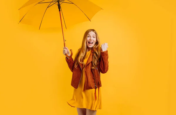 happy girl in a yellow dress and autumn jacket, with a yellow umbrella, is happy and shows a winning gesture on an isolated yellow background