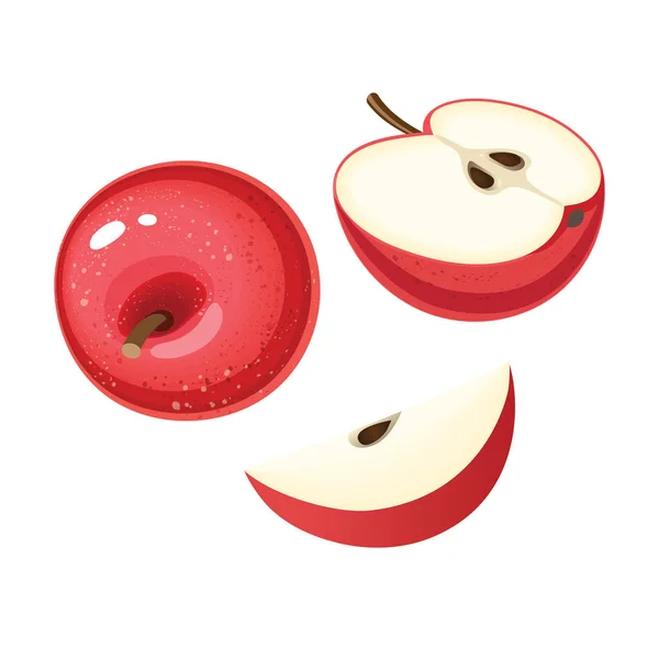 Ilustración vectorial de manzana roja orgánica con rodajas — Archivo Imágenes Vectoriales