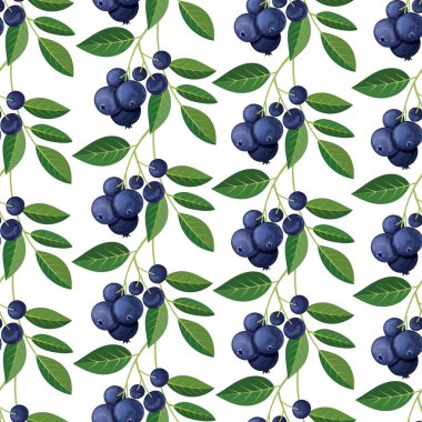 Yaban mersini ve dal ile Seamless modeli. Vektör