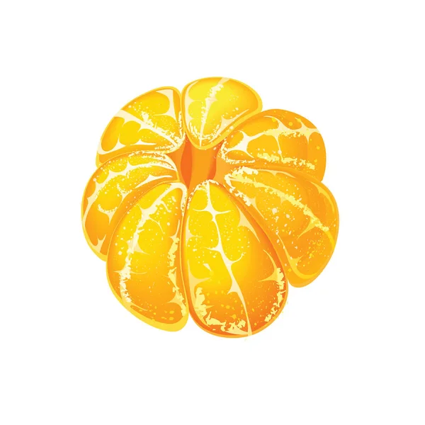 Mandarino Pelato Intero Isolato Sfondo Bianco Illustrazione Vettoriale — Vettoriale Stock