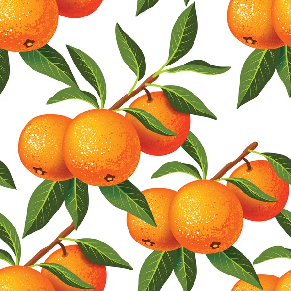 Padrão Sem Costura Com Ramo Tangerinas Folhas Fundo Branco Ilustração — Vetor de Stock