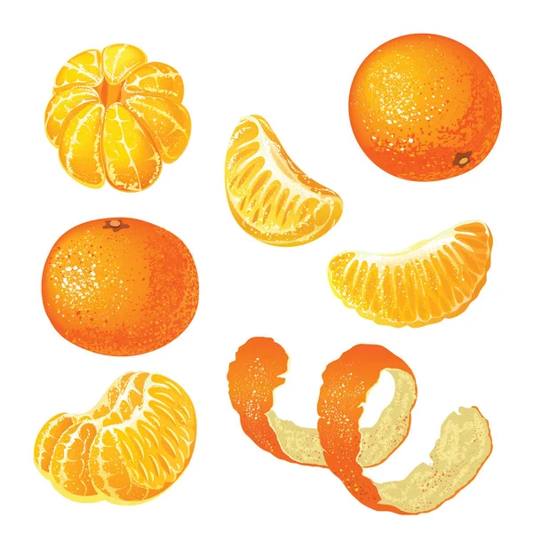 Vector Set Tangerines Isolated White Background Tangerine Peeled Peel Pieces — Stock Vector