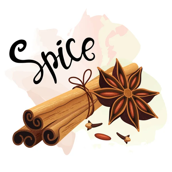 Decoratieve compositie met kaneelstokjes, sterren van anijs, kruidnagel. Spice set. — Stockvector