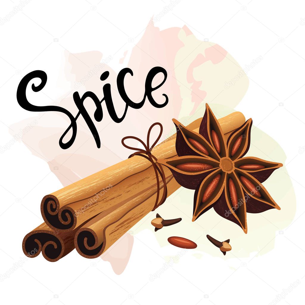 Decorative composition with cinnamon sticks, anise stars, cloves. Spice set.