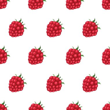 Ahududu ile Seamless modeli. Vektör gerçekçi çizim