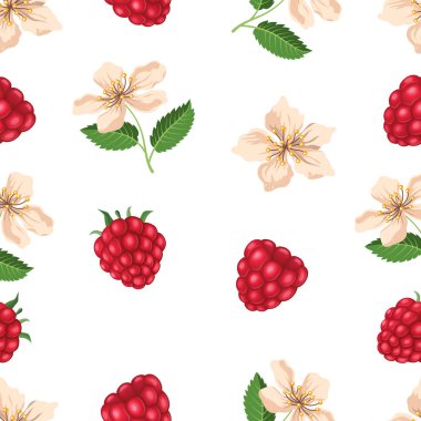 Ahududu ve çiçeği ile Seamless modeli. Vektör