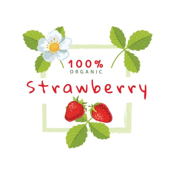 Etikett mit Erdbeeren, kann für Marmeladen und andere Verpackungen verwendet werden. — Stockvektor