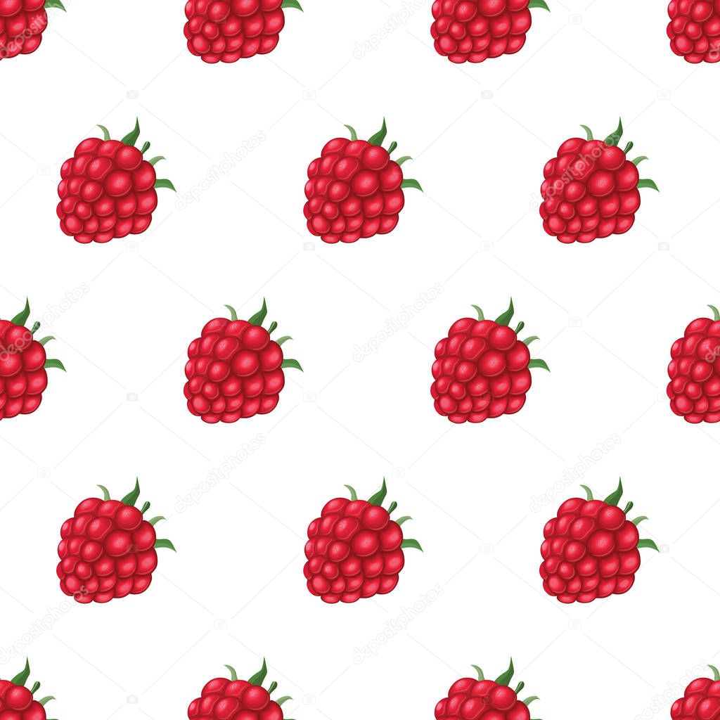 Seamless pattern with raspberry. Vector realistic illustration