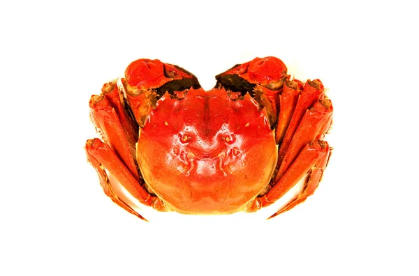 Crabe Chinois Poilu Cuit Isolé Sur Blanc — Photo