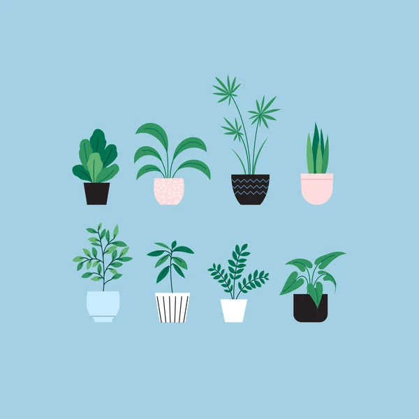 Ensemble Illustrations Plates Différentes Plantes Intérieur — Image vectorielle