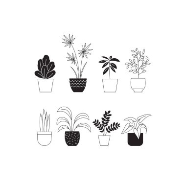 Set of one color line illustrations of different houseplants clipart