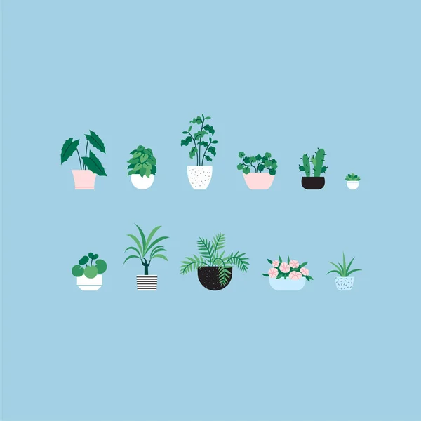 Set Von Flachen Abbildungen Verschiedener Zimmerpflanzen — Stockvektor